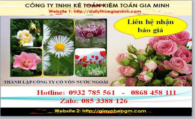 Thành lập công ty TNHH có vốn đầu tư nước ngoài tại Sơn La 5 Chi phí thành lập doanh nghiệp có vốn đầu tư nước ngoài tại Sơn La