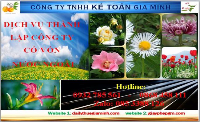 Thành lập công ty TNHH có vốn đầu tư nước ngoài tại Sơn La 4 Thủ tục thành lập công ty TNHH có vốn đầu tư nước ngoài tại Sơn La