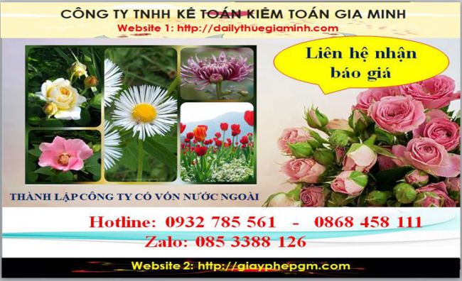 Thành lập công ty TNHH có vốn đầu tư nước ngoài tại Thái Bình 5 Chi phí thành lập doanh nghiệp có vốn đầu tư nước ngoài tại Thái Bình