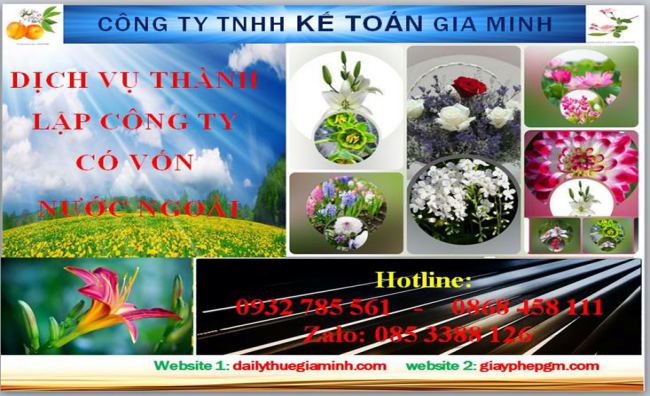 Thành lập công ty TNHH có vốn đầu tư nước ngoài tại Thái Bình 4 Thủ tục thành lập công ty TNHH có vốn đầu tư nước ngoài tại Thái Bình