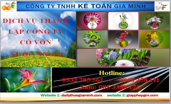 Thành lập công ty TNHH có vốn đầu tư nước ngoài tại TP Thủ Dầu Một 4 Thủ tục thành lập công ty TNHH có vốn đầu tư nước ngoài tại TP Thủ Dầu Một