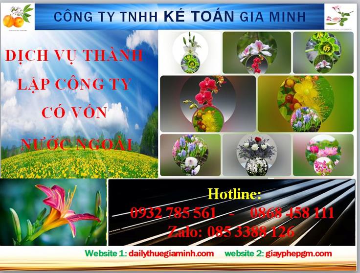 Thành lập công ty TNHH có vốn đầu tư nước ngoài tại TP Hồ Chí Minh 4 Thủ tục thành lập công ty TNHH có vốn đầu tư nước ngoài tại TP Hồ Chí Minh