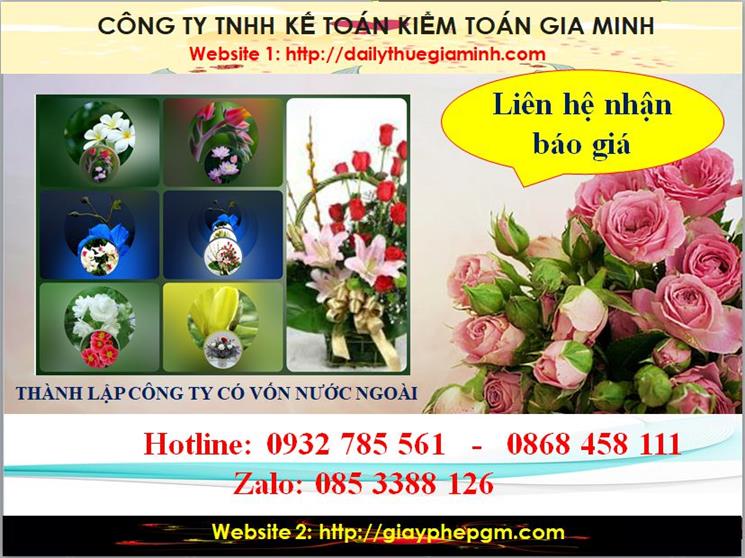 Thành lập công ty TNHH có vốn đầu tư nước ngoài tại TPHCM 5 Chi phí thành lập doanh nghiệp có vốn đầu tư nước ngoài tại TPHCM