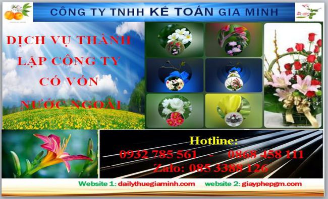 Thành lập công ty TNHH có vốn đầu tư nước ngoài tại TPHCM 4 Thủ tục thành lập công ty TNHH có vốn đầu tư nước ngoài tại TPHCM