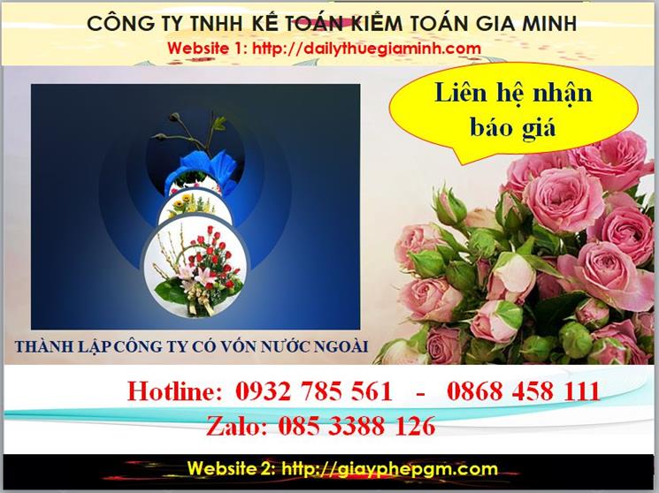 Thành lập công ty TNHH có vốn đầu tư nước ngoài tại Tuyên Quang 5 Chi phí thành lập doanh nghiệp có vốn đầu tư nước ngoài tại Tuyên Quang