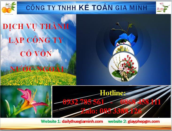 Thành lập công ty TNHH có vốn đầu tư nước ngoài tại Tuyên Quang 4 Thủ tục thành lập công ty TNHH có vốn đầu tư nước ngoài tại Tuyên Quang