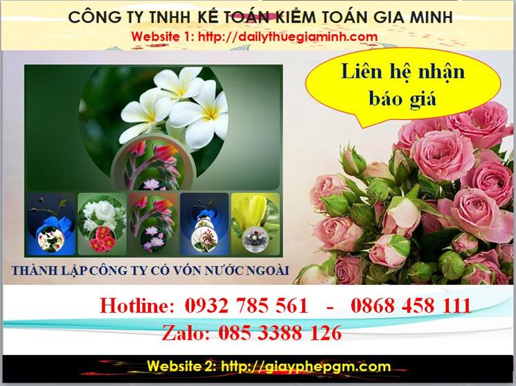 Chi phí thành lập doanh nghiệp có vốn đầu tư nước ngoài tại Vĩnh Long
