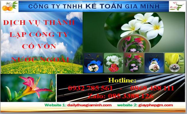Thủ tục thành lập công ty TNHH có vốn đầu tư nước ngoài tại Vĩnh Long