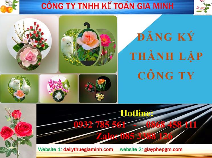 Đăng ký thành lập công ty tại Bến Tre 4 Thủ tục đăng ký thành lập công ty tại Bến Tre
