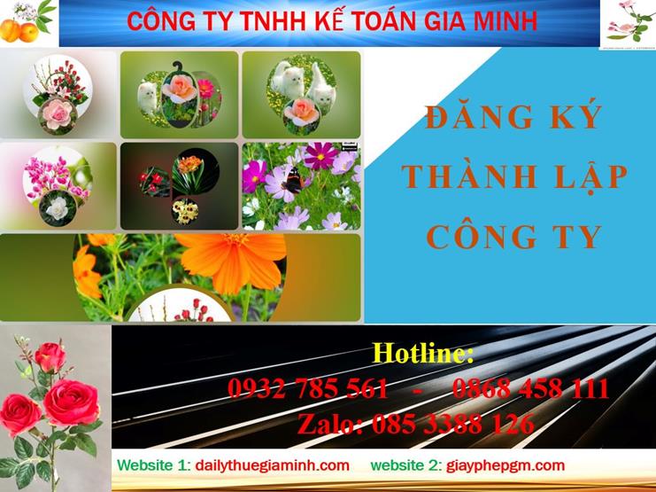 Thủ tục đăng ký thành lập công ty tại Bình Định
