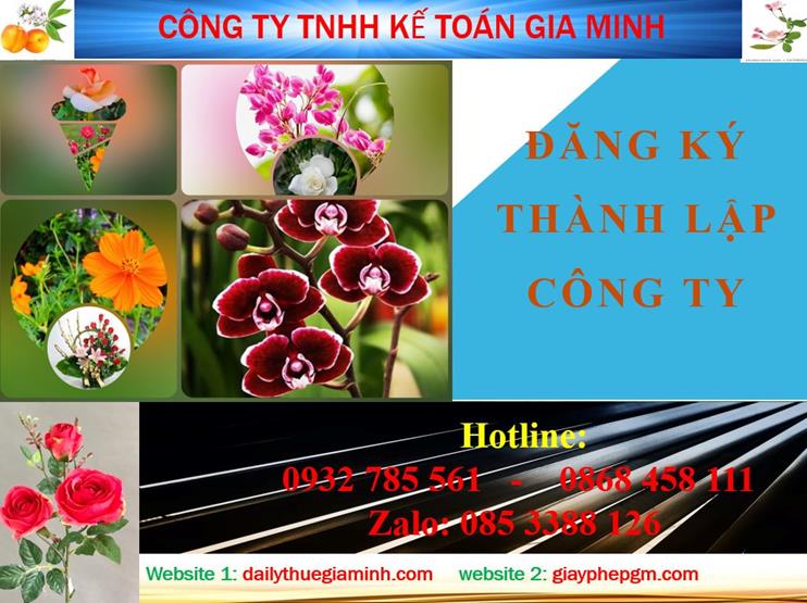 Đăng ký thành lập công ty tại Điện Biên 4 Thủ tục đăng ký thành lập công ty tại Điện Biên
