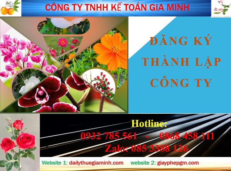 Đăng ký thành lập công ty tại Đồng Tháp 4 Thủ tục đăng ký thành lập công ty tại Đồng Tháp