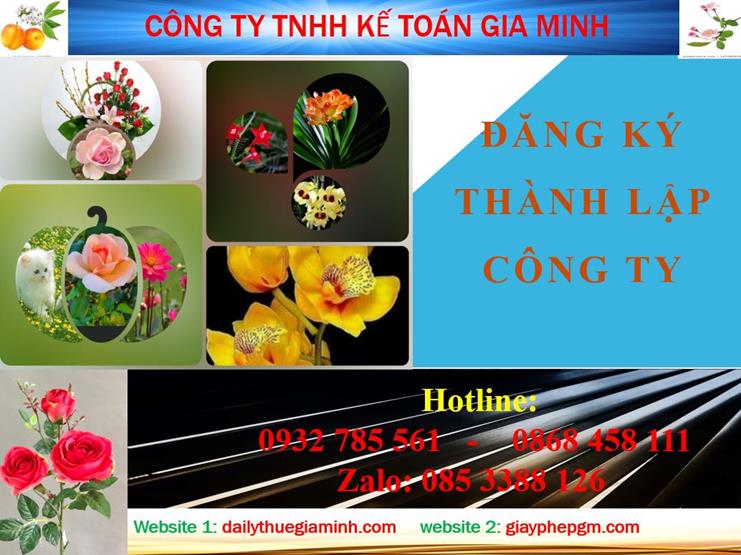 Đăng ký thành lập công ty tại Hải Dương 4 Thủ tục đăng ký thành lập công ty tại Hải Dương