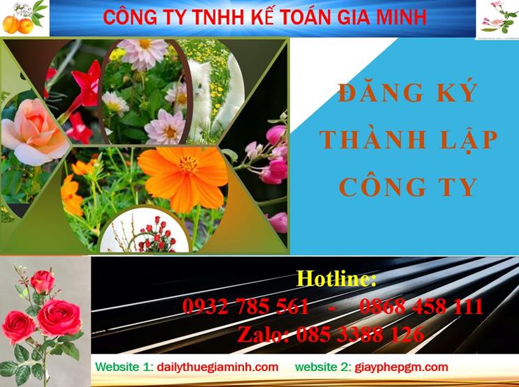 Đăng ký thành lập công ty tại Hải Phòng 4 Thủ tục đăng ký thành lập công ty tại Hải Phòng