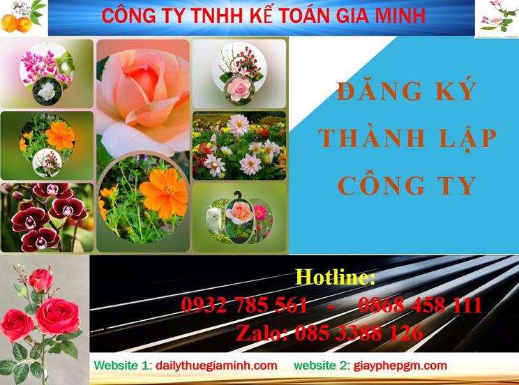 Đăng ký thành lập công ty tại Hòa Bình 4 Thủ tục đăng ký thành lập công ty tại Hòa Bình