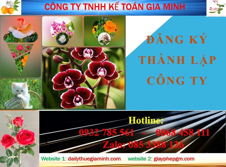 Đăng ký thành lập công ty tại Huyện Cần Giờ 4 Thủ tục đăng ký thành lập công ty tại Huyện Cần Giờ