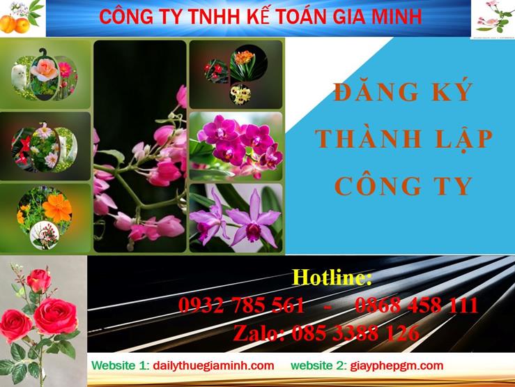 Thủ tục đăng ký thành lập công ty tại Huyện Dầu Tiếng