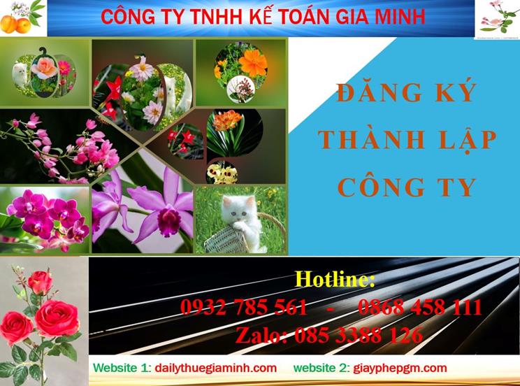Thủ tục đăng ký thành lập công ty tại Lai Châu