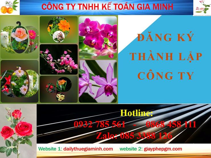Đăng ký thành lập công ty tại Quận Tân Bình 4 Thủ tục đăng ký thành lập công ty tại Quận Tân Bình