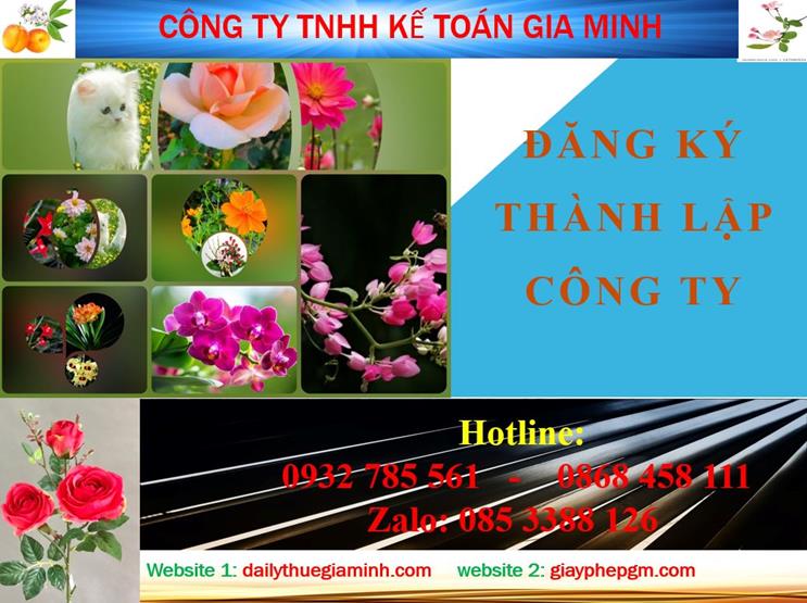 Đăng ký thành lập công ty tại Quảng Bình 4 Thủ tục đăng ký thành lập công ty tại Quảng Bình