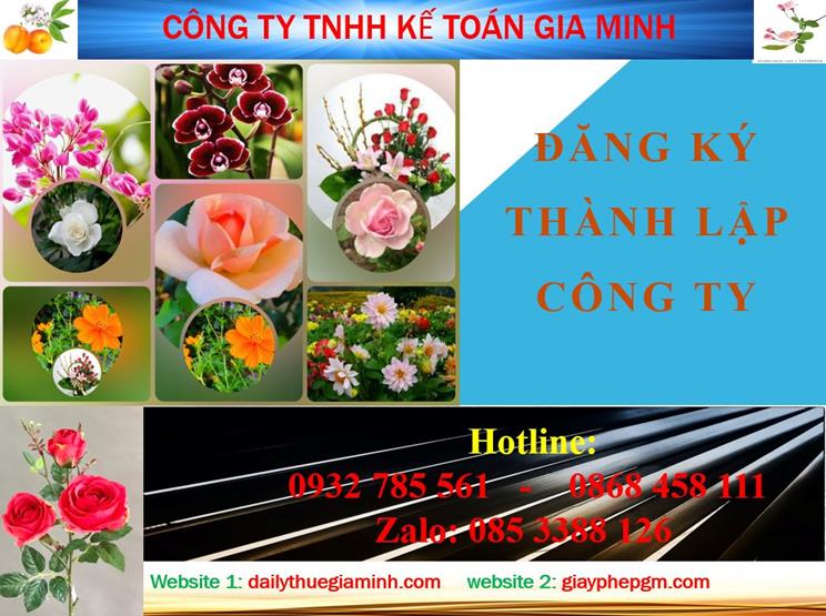 Thủ tục đăng ký thành lập công ty tại TPHCM