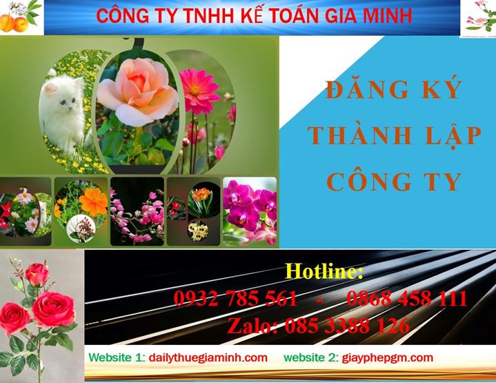 Đăng ký thành lập công ty tại Tuyên Quang 4 Thủ tục đăng ký thành lập công ty tại Tuyên Quang