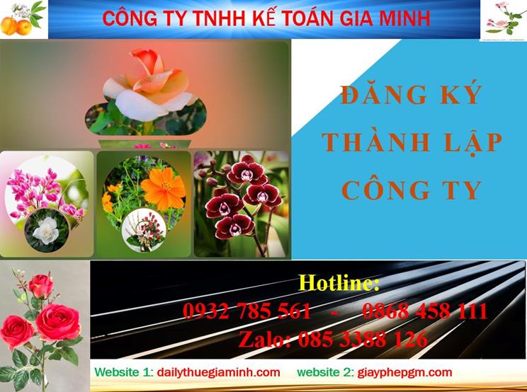 Đăng ký thành lập công ty tại Vũng Tàu 4 Thủ tục đăng ký thành lập công ty tại Vũng Tàu