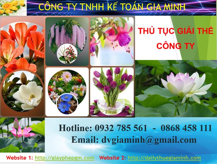 Thủ tục giải thể công ty tại Huyện Bàu Bàng 4 Thủ tục giải thể công ty tại Huyện Bàu Bàng