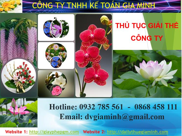 Thủ tục giải thể công ty tại Huyện Dầu Tiếng 1 Thủ tục giải thể công ty tại Huyện Dầu Tiếng