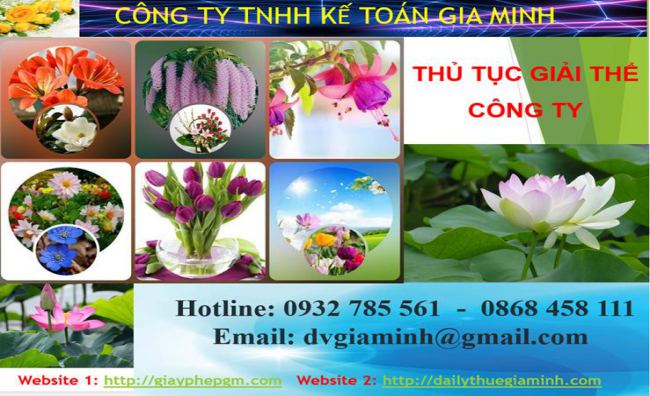 Thủ tục giải thể công ty tại Huyện Gia Lâm 1 Thủ tục giải thể công ty tại Huyện Gia Lâm