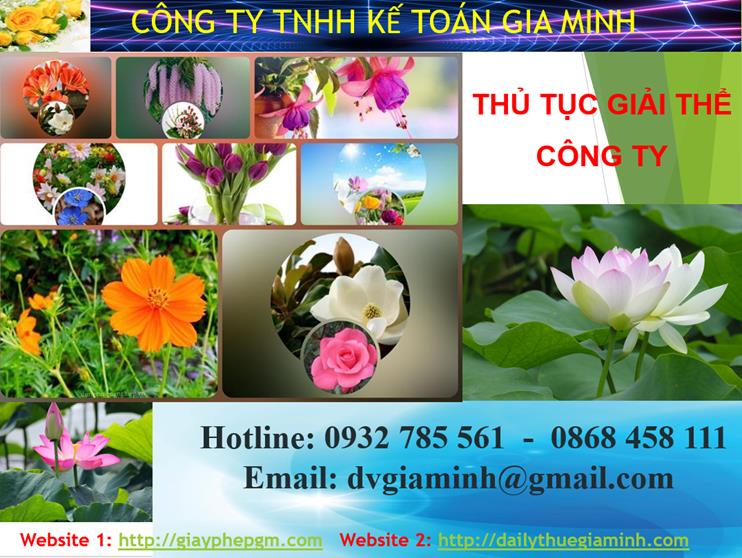 Thủ tục giải thể công ty tại Huyện Mê Linh 4 Thủ tục giải thể công ty tại Huyện Mê Linh