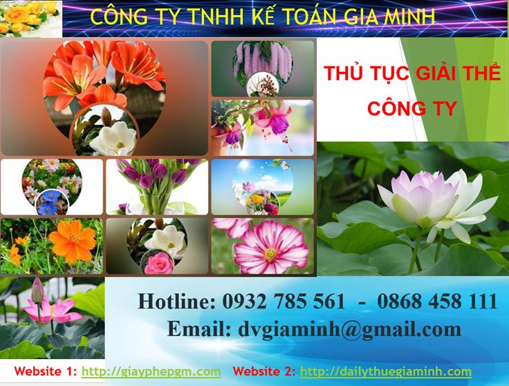 Thủ tục giải thể công ty tại Khánh Hòa 1 Thủ tục giải thể công ty tại Khánh Hòa