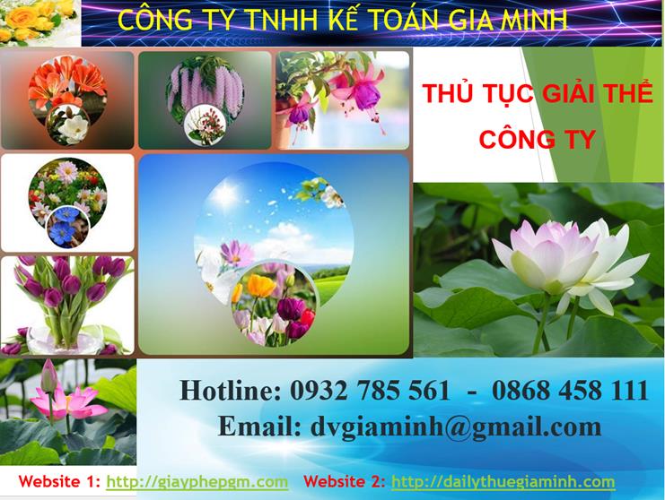 Thủ tục giải thể công ty tại Kiên Giang 1 Thủ tục giải thể công ty tại Kiên Giang