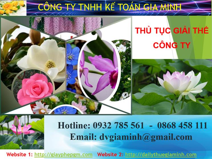 Thủ tục giải thể công ty tại Lào Cai 1 Thủ tục giải thể công ty tại Lào Cai