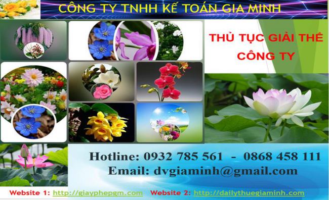 Thủ tục giải thể công ty tại Quận Đống Đa 4 Thủ tục giải thể công ty tại Quận Đống Đa