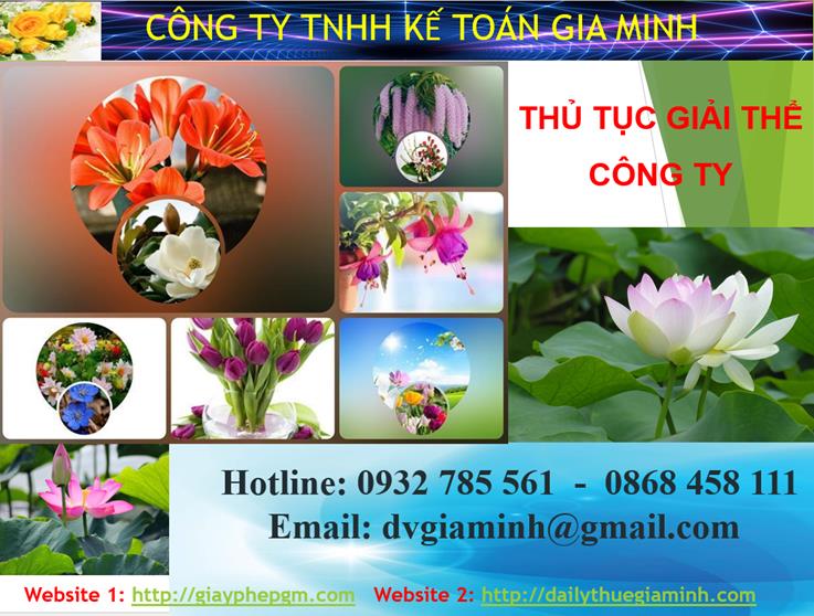 Thủ tục giải thể công ty tại Thành phố Hồ Chí Minh 1 Thủ tục giải thể công ty tại Thành phố Hồ Chí Minh