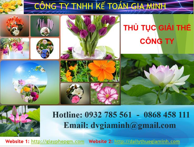 Thủ tục giải thể công ty tại Thành Phố Thủ Dầu Một