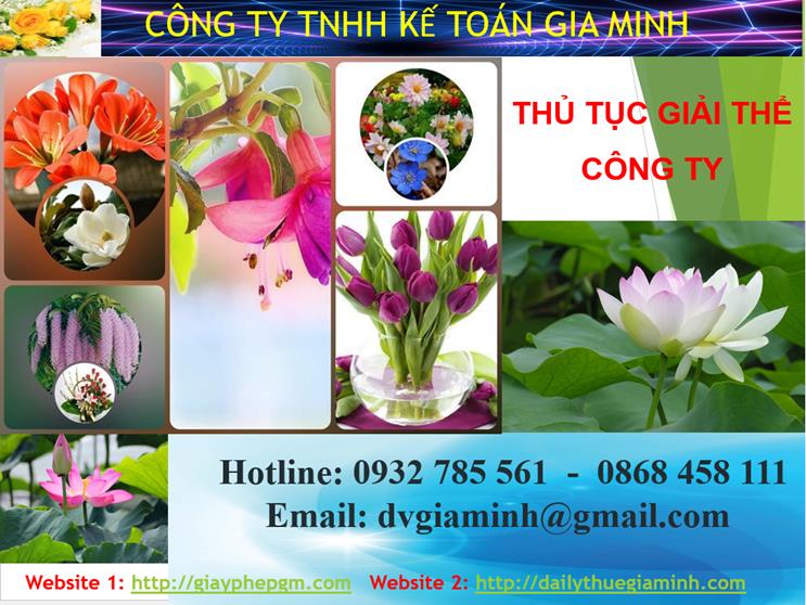 Thủ tục giải thể công ty tại Thị Xã Sơn Tây 1 Thủ tục giải thể công ty tại Thị Xã Sơn Tây
