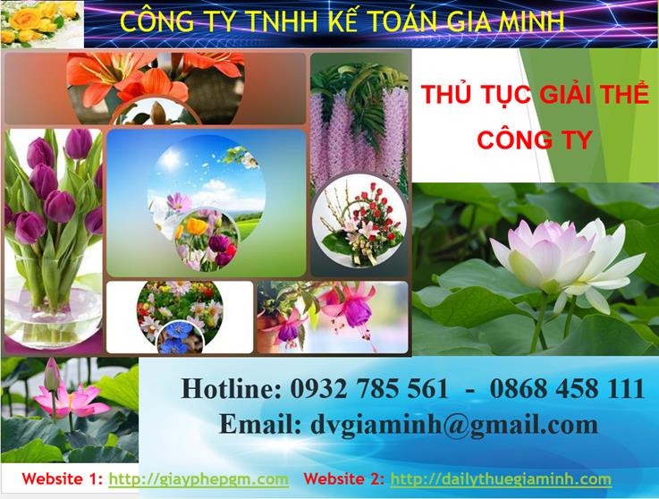 Thủ tục giải thể công ty tại TPHCM 1 Thủ tục giải thể công ty tại TPHCM