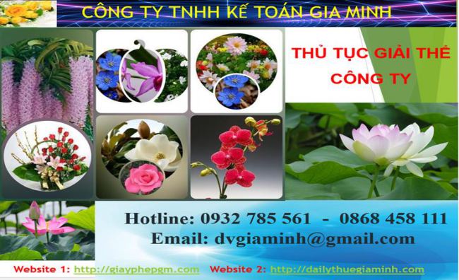 Thủ tục giải thể công ty tại Vĩnh Long 1 Thủ tục giải thể công ty tại Vĩnh Long