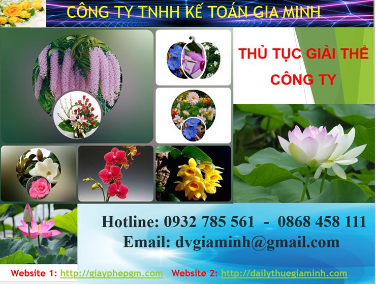 Thủ tục giải thể công ty tại Yên Bái 4 Thủ tục giải thể công ty tại Yên Bái