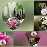 Trình tự thủ tục tạm ngừng kinh doanh tại Hải Phòng 6 Muốn tạm ngừng kinh doanh tại Hải Phòng