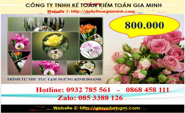 Trình tự thủ tục tạm ngừng kinh doanh tại Huyện Gia Lâm 5 Chi Phí tạm ngừng kinh doanh tại Huyện Gia Lâm