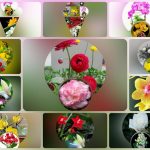 Trình tự thủ tục tạm ngừng kinh doanh tại Huyện Gia Lâm 6 Muốn tạm ngừng kinh doanh tại Huyện Gia Lâm
