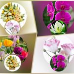 Trình tự thủ tục tạm ngừng kinh doanh tại Lào Cai 6 Muốn tạm ngừng kinh doanh tại Lào Cai