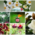 Thủ tục thành lập chi nhánh công ty cổ phần tại Hà Nam 6 Muốn thành lập chi nhánh công ty cổ phần tại Hà Nam
