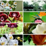 Thủ tục thành lập chi nhánh công ty cổ phần tại Hải Phòng 6 Muốn thành lập chi nhánh công ty cổ phần tại Hải Phòng