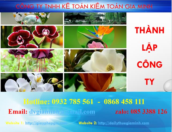 Thủ tục thành lập chi nhánh công ty cổ phần tại Hải Phòng 4 Thủ tục thành lập chi nhánh công ty cổ phần tại Hải Phòng