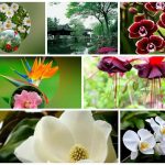 Thủ tục thành lập chi nhánh công ty cổ phần tại Lào Cai 6 Muốn thành lập chi nhánh công ty cổ phần tại Lào Cai