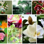 Thủ tục thành lập chi nhánh công ty cổ phần tại Nam Định 6 Muốn thành lập chi nhánh công ty cổ phần tại Nam Định